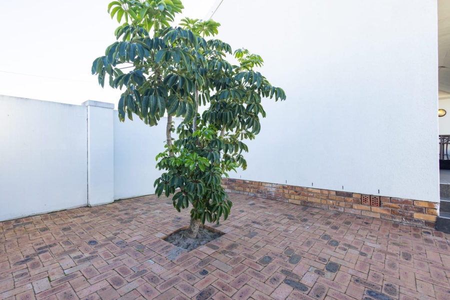 To Let 3 Bedroom Property for Rent in Fairfield Estate Western Cape